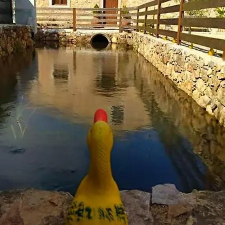 Carrega Water Mill Penela
