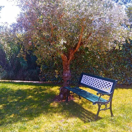 Carrega Water Mill *