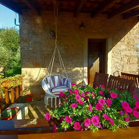 Carrega Water Mill Penela