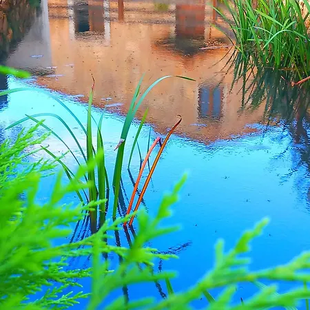 Holiday home Carrega Water Mill *
