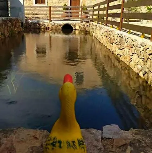 Carrega Water Mill Penela