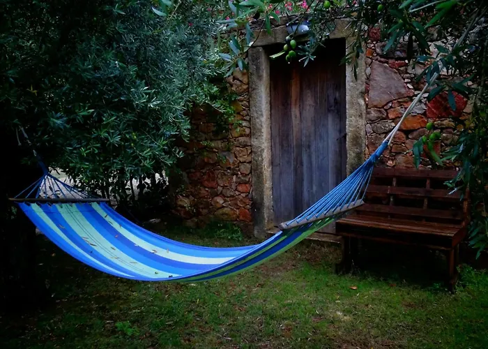 Carrega Water Mill Penela